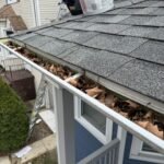 Local Gutter cleaning service